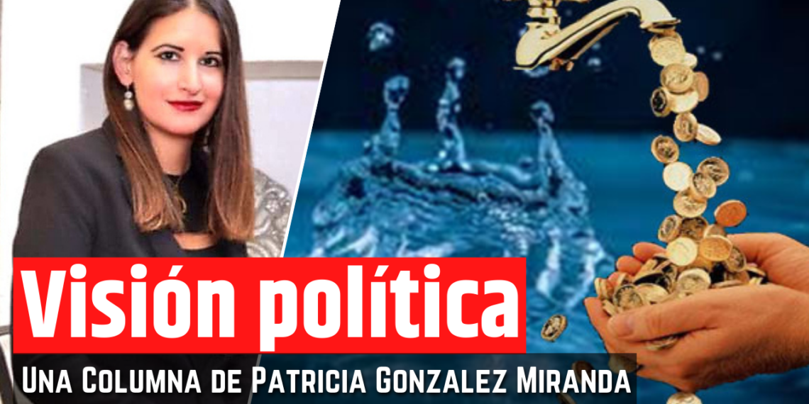 Opinión de la Mtra. Patricia González Miranda