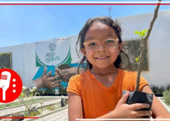 Adopta un árbol: Tláhuac presenta programa para el cuidado del medio ambiente
