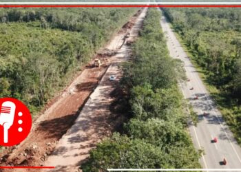 En DOF publican expropiación de un millón de metros cuadrados para Tren Maya en Quintana Roo