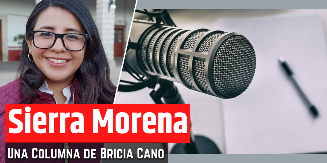 Opinión de Bricia Cano