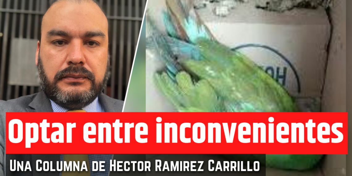 Opinión de Héctor Ramírez Carrillo