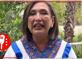Sale a la luz la información de las empresas de Xóchitl Gálvez, han recibido contratos millonarios en los últimos 23 años