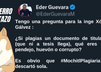 El Perro Tuitazo: Xóchitl se descartó sola