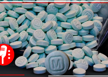 Descubren laboratorio de secado para fabricar pastillas de fentanilo en Tijuana