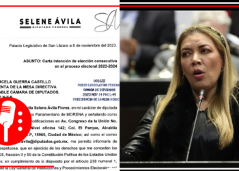 Que siempre no se va de Morena; diputada que rompió con la 4T y fue arropada por el PAN, ahora busca reelección en el partido guinda