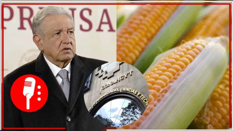 Imágenes: @canalcatorcemx y www.forbes.com.mx