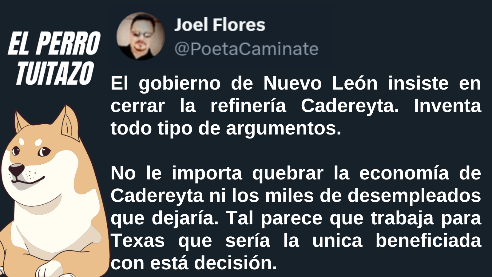 El Perro Tuitazo
