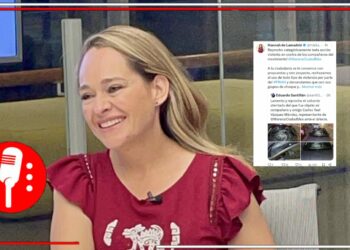La morenista Hannah de Lamadrid condenó y denunció que grupos de choque vinculados al PRIAN, cometieron el atentado en contra del representante de Morena CDMX ante el IECM