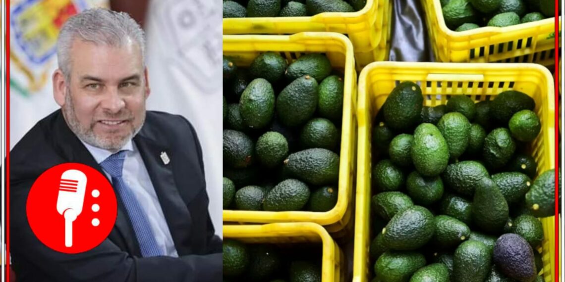 Alfredo Ramírez Bedolla y cajas de aguacate. Fotos: Gobierno de Michoacán/AFP