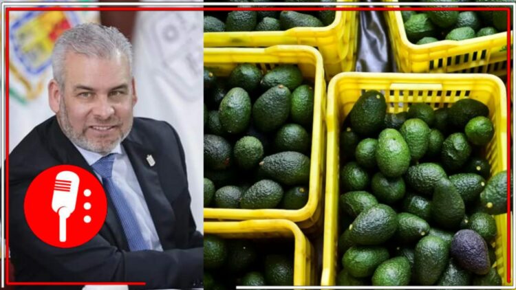 Alfredo Ramírez Bedolla y cajas de aguacate. Fotos: Gobierno de Michoacán/AFP