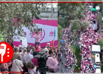 Un rotundo fracaso la movilización de la Marea Rosa: Un reducido grupo de conservadores se concentraron afuera del INE en contra de mayoría calificada de Morena y sus aliados en el Congreso de la Unión (VIDEO)