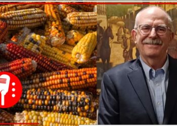 Julio Berdegué Sacristán, secretario de Agricultura y Desarrollo Rural, advierte que continuará defensa de semillas nativas contra el maíz transgénico
