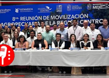Morelos apuesta por la exportación de aguacate bajo la dirección de Margarita González Saravia