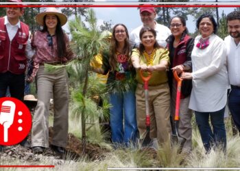 Clara Brugada anuncia ambicioso Plan Ambiental para la Ciudad de México