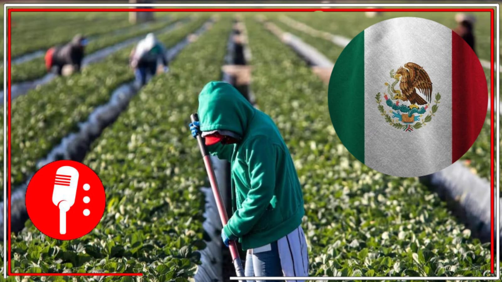 Migrantes mexicanos: columna vertebral de la economía en Texas y California