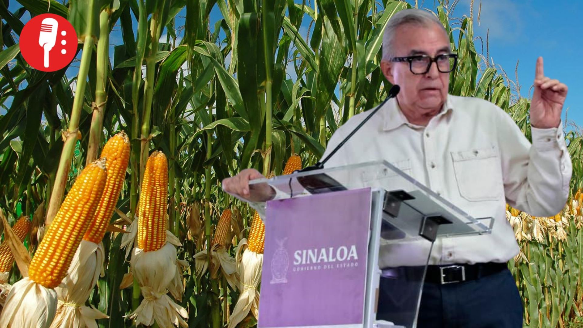 Rocha Moya trabaja con gobierno federal por maíz sinaloense