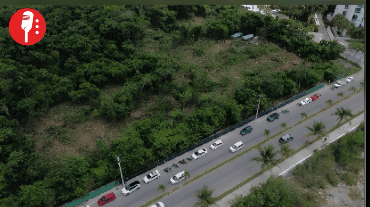 Desmontan selva virgen en Cozumel para plaza comercial