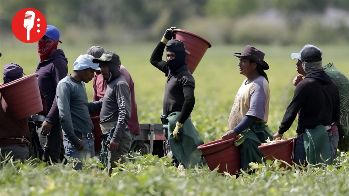El poder económico de los migrantes: aportan 40% del PIB latino en EUA