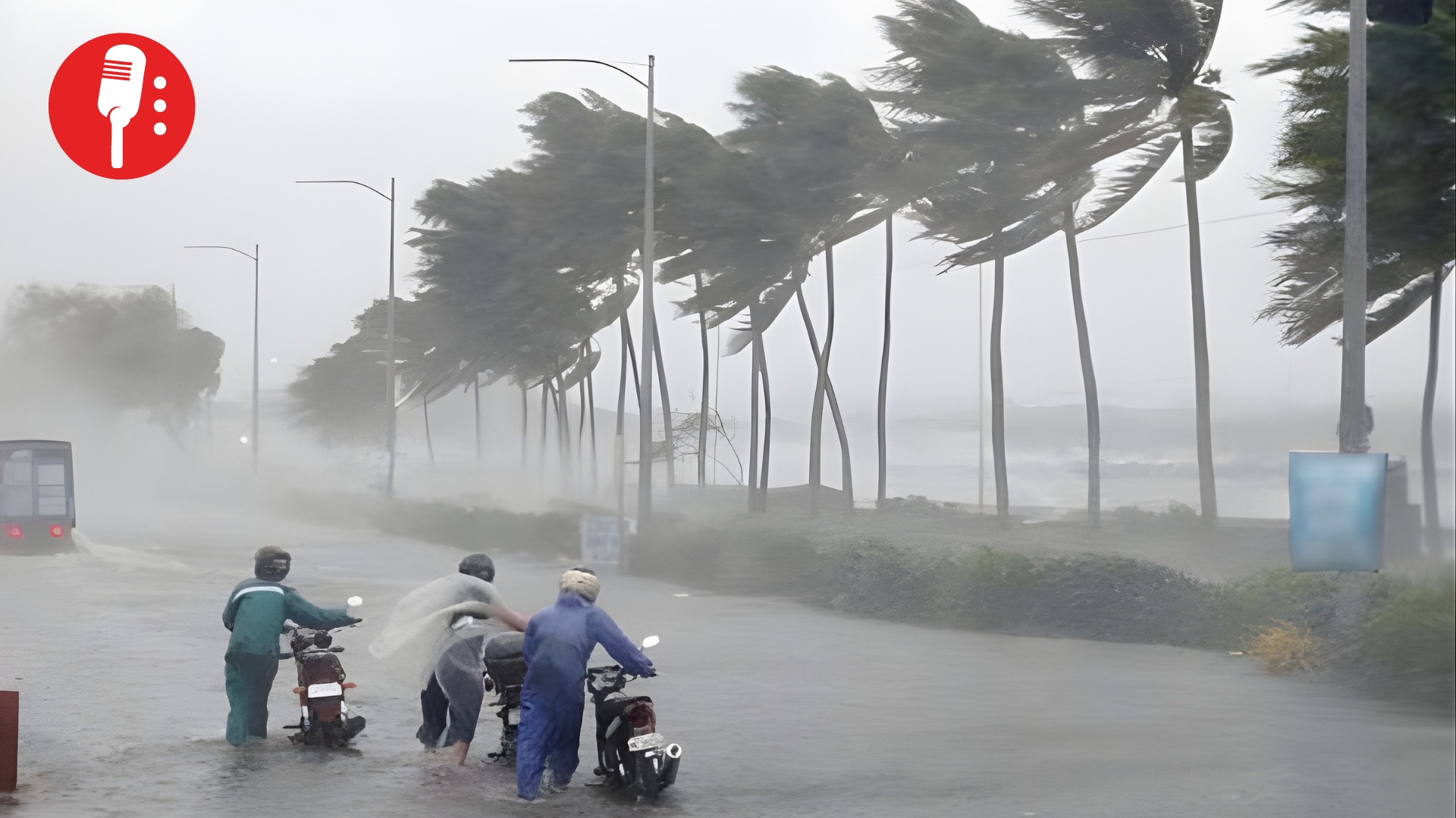 Servicio Meteorológico Nacional activa alerta por lluvias intensas en el sureste y sur de México