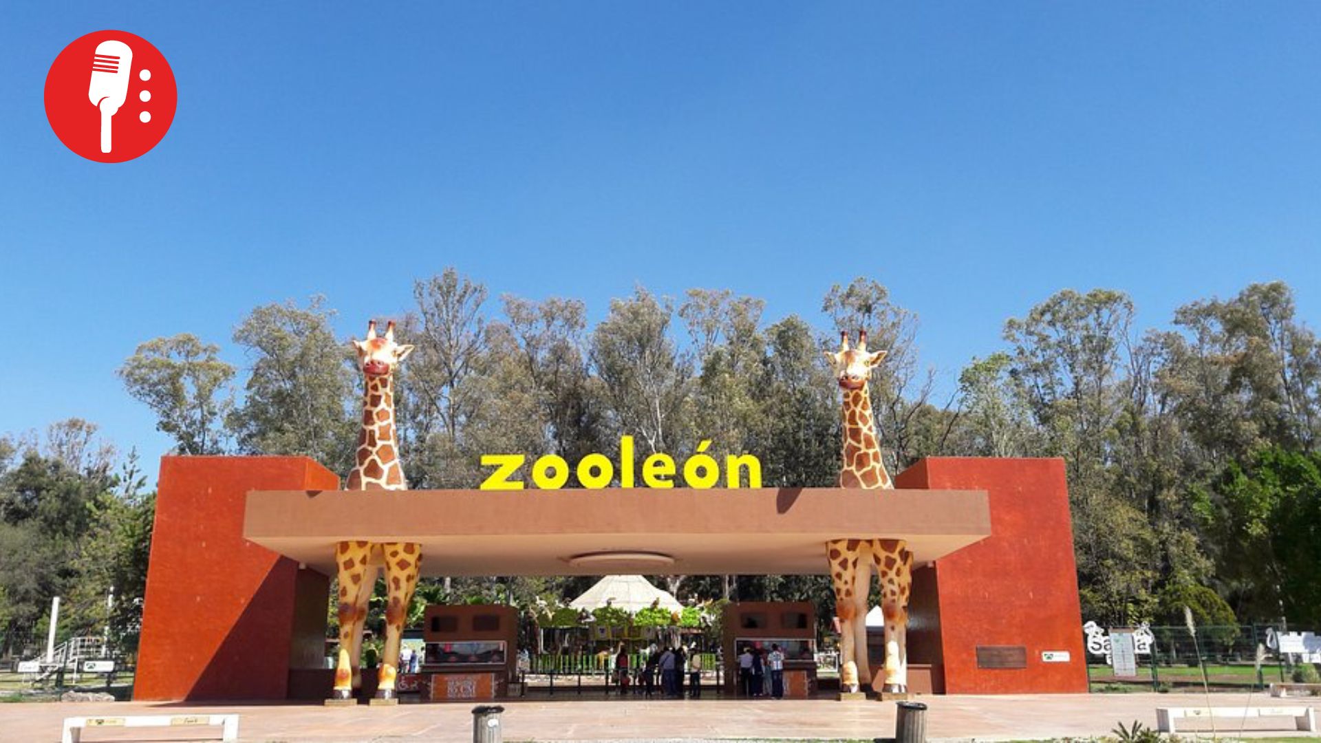 Escándalo en el Zoológico de León: desaparecen 2 mil 500 pacas de alimento para animales