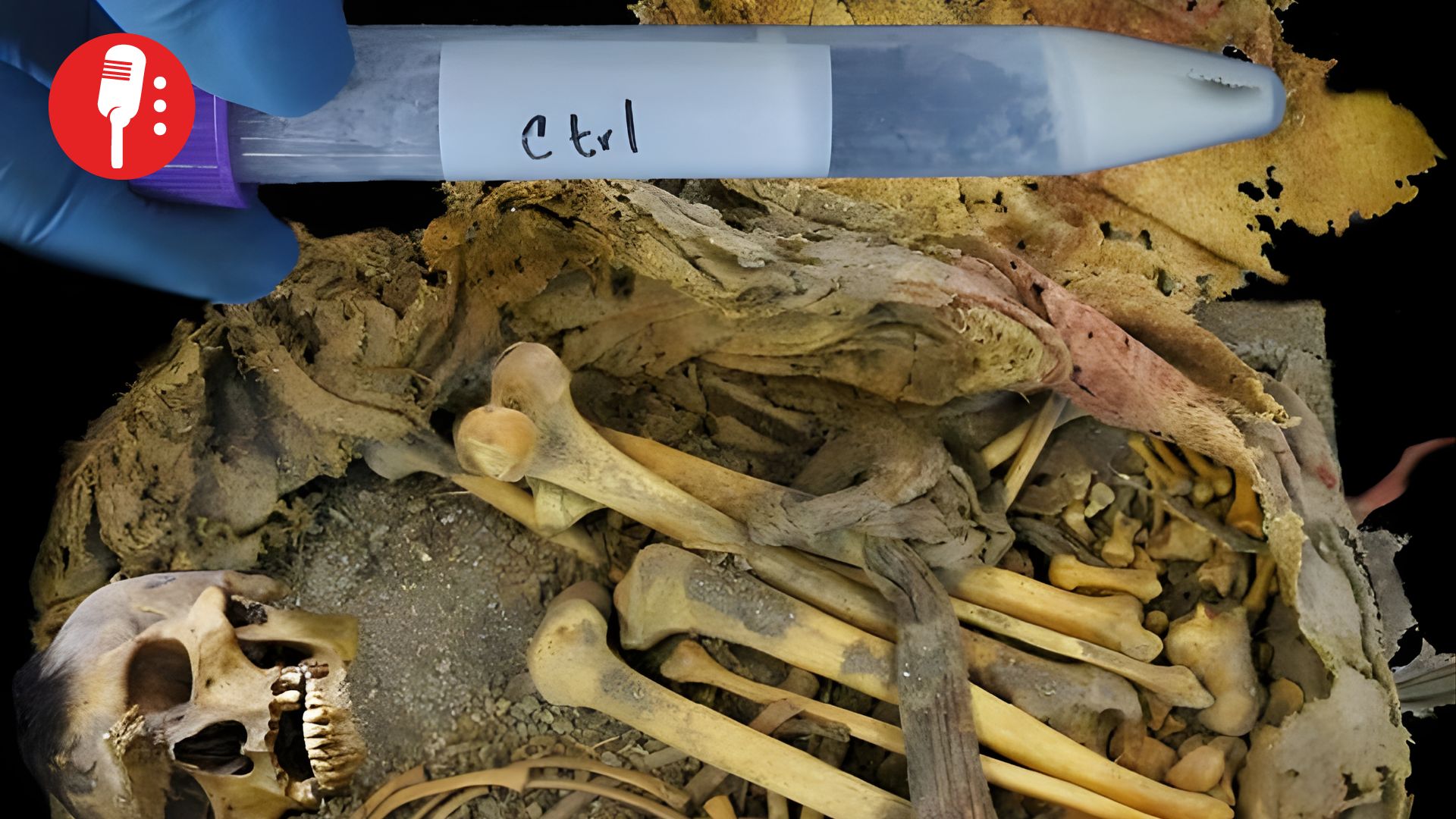 El microbioma del “Hombre de Zimapán” revela secretos evolutivos de la vida precolombina en México