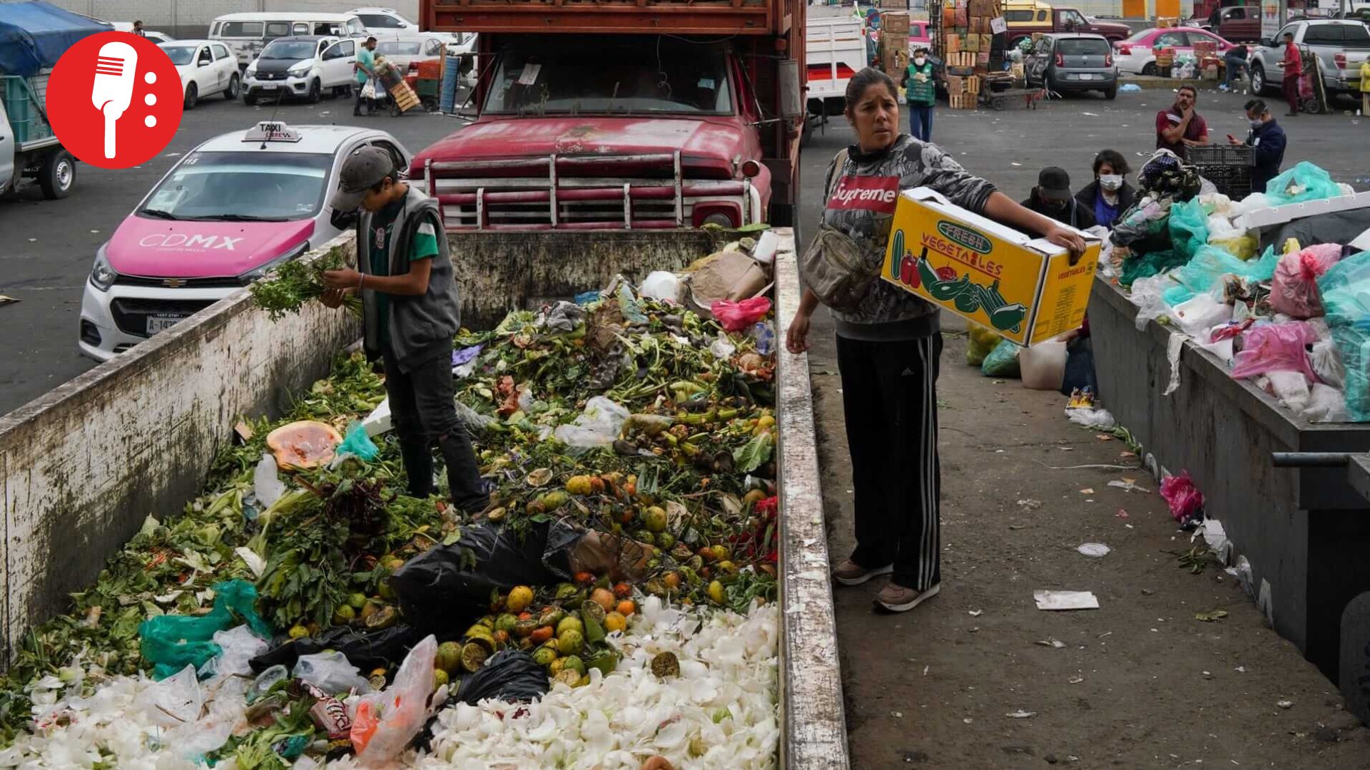 México, el país que más comida tira en América Latina: se desperdician 30 millones de toneladas al año