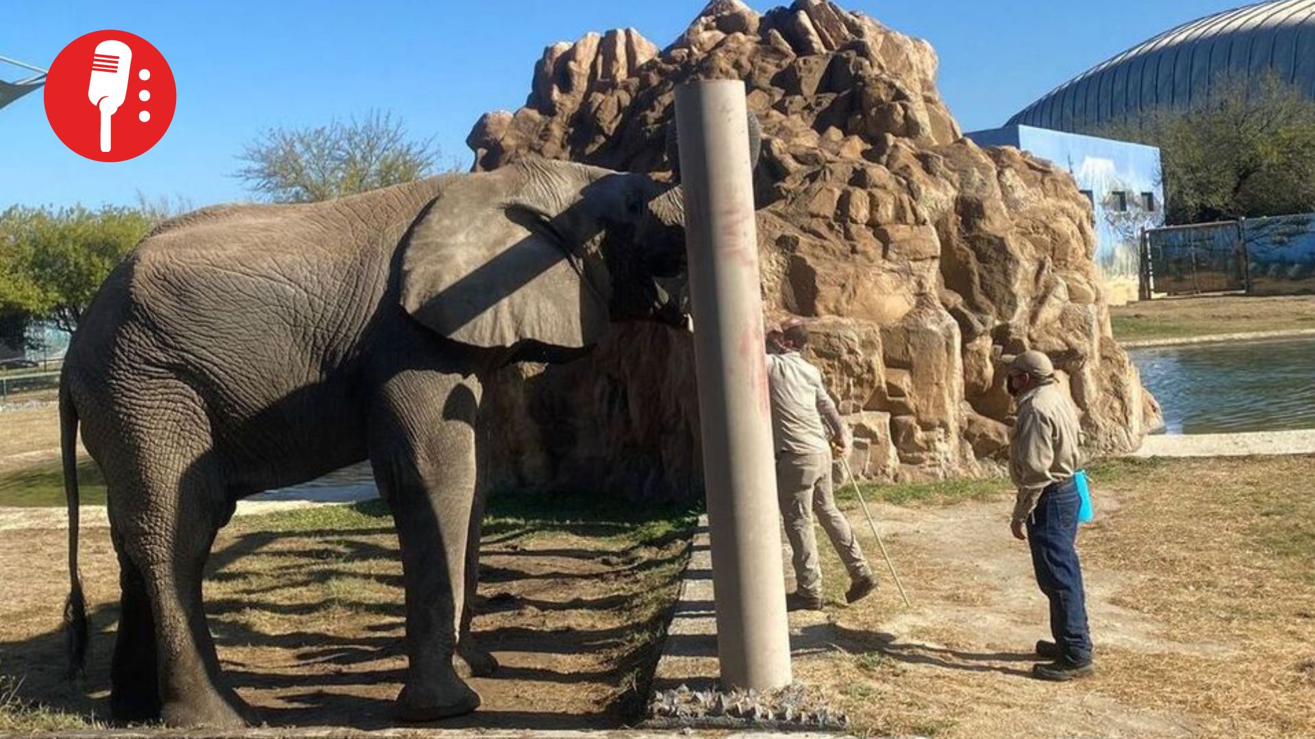 Indignación en Monterrey: Maltrato y tráfico de animales sacuden el zoológico “La Pastora”