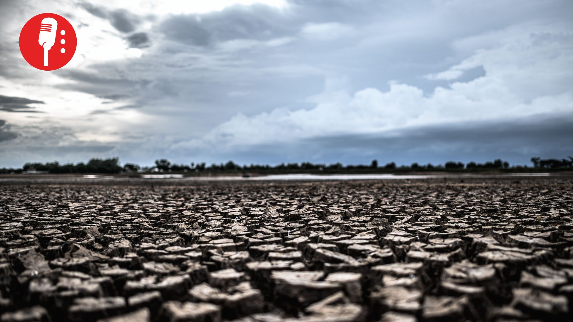Sequía ya no es pronóstico: es una realidad inquietante
