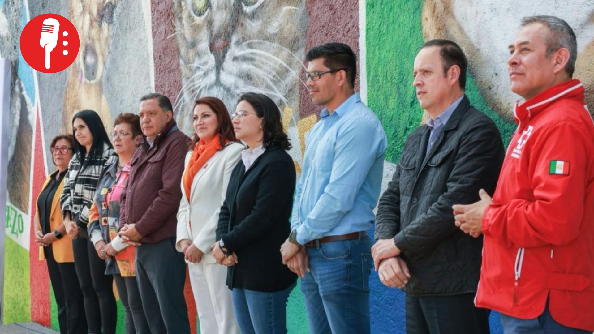 Gobierno de Toluca atiende crisis de animales callejeros