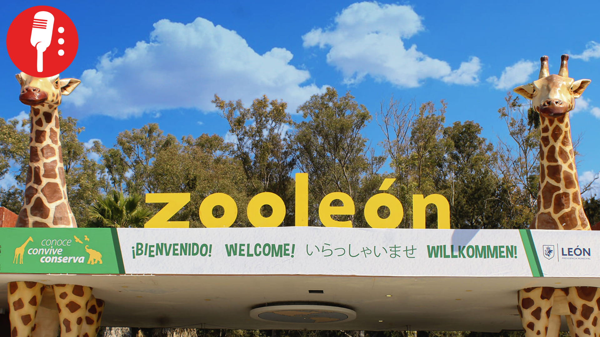 Crisis en Zoológico de León: renuncia y despidos tras muertes de animales