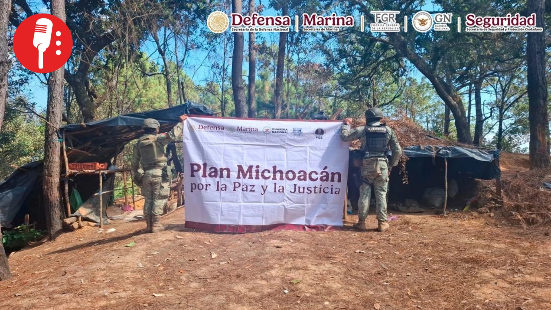 Plan Michoacán: Caen 12 presuntos criminales;  decomisan armas y vehículos