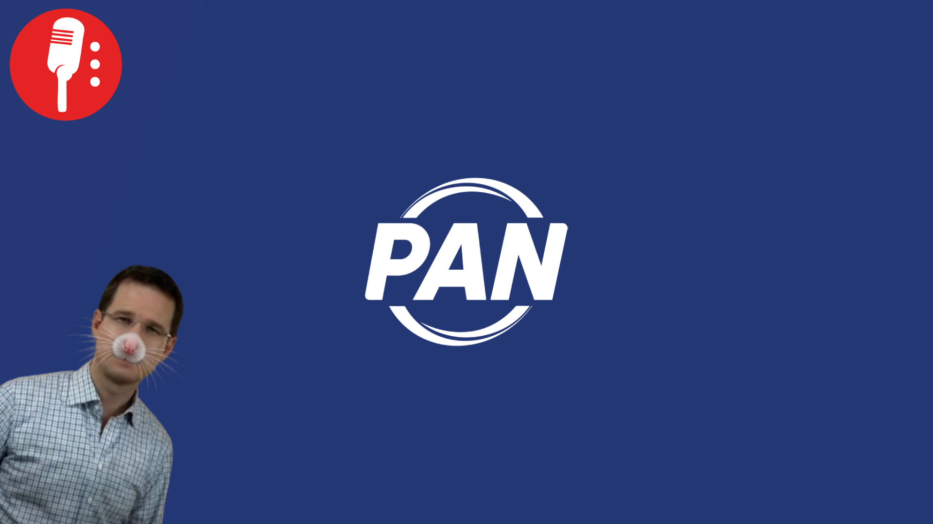 PAN y los escándalos de desvío de recursos en el siglo XXI