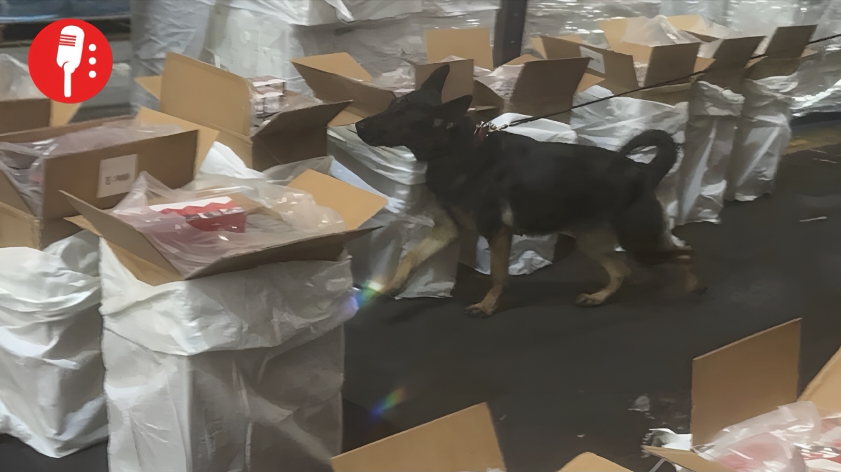 Cigarrillos de contrabando: 88 toneladas aseguradas en el AICM